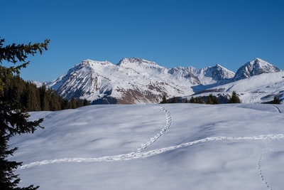 白天蓝天下的雪山